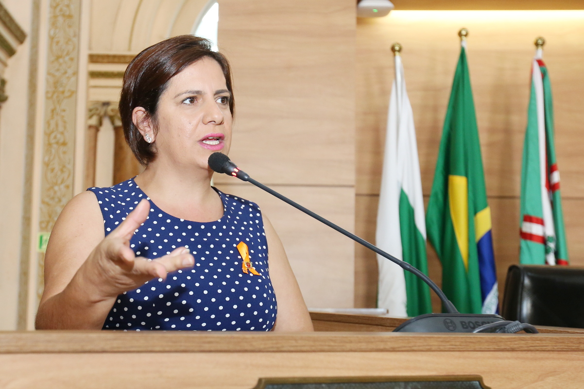 Por créditos do Nota Paraná, utilidades públicas são aprovadas