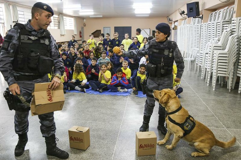 Por lei, vereadora pede reativação de projetos da extinta secretaria Antidrogas