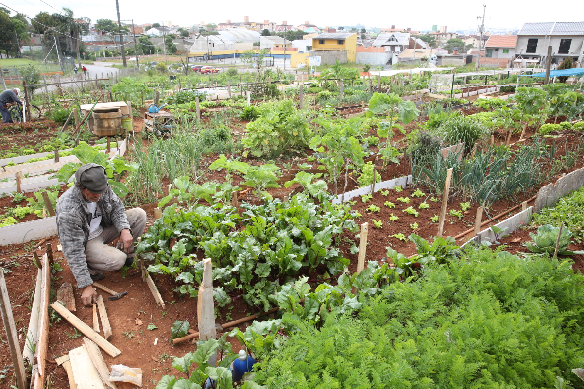 Por unanimidade, plenário aprova Horta Solidária 