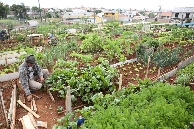 Por unanimidade, plenário aprova Horta Solidária 