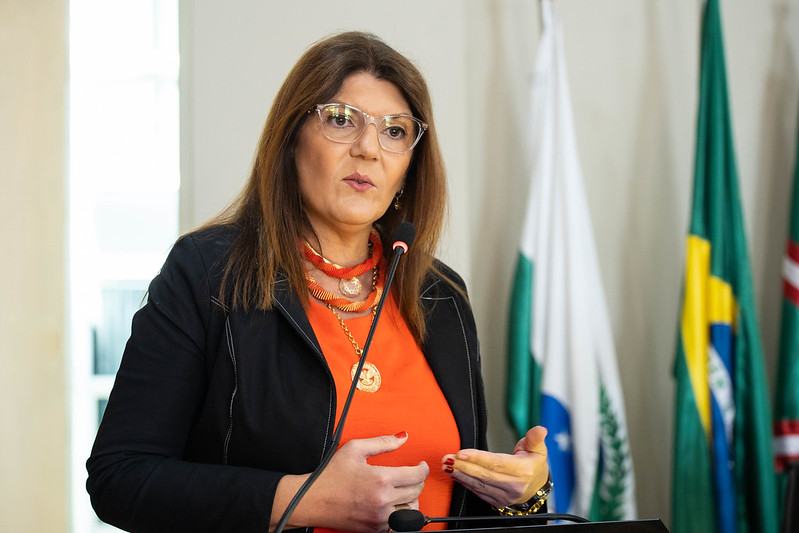 Prefeitura expõe à Câmara de Curitiba plano para prevenir ataques a escolas