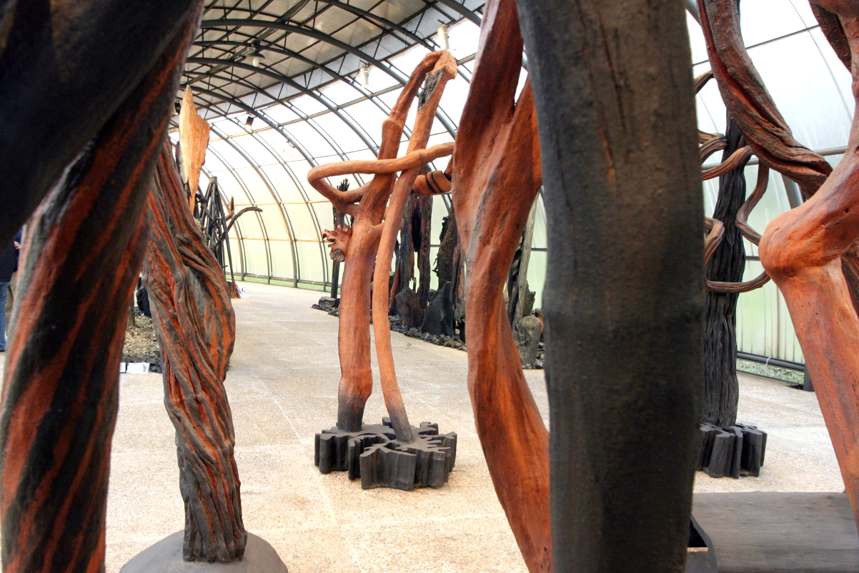 Prefeitura não informa quando restituirá obras de Frans Krajcberg