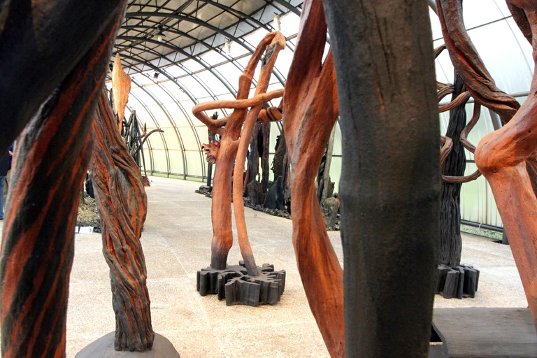 Prefeitura não informa quando restituirá obras de Frans Krajcberg