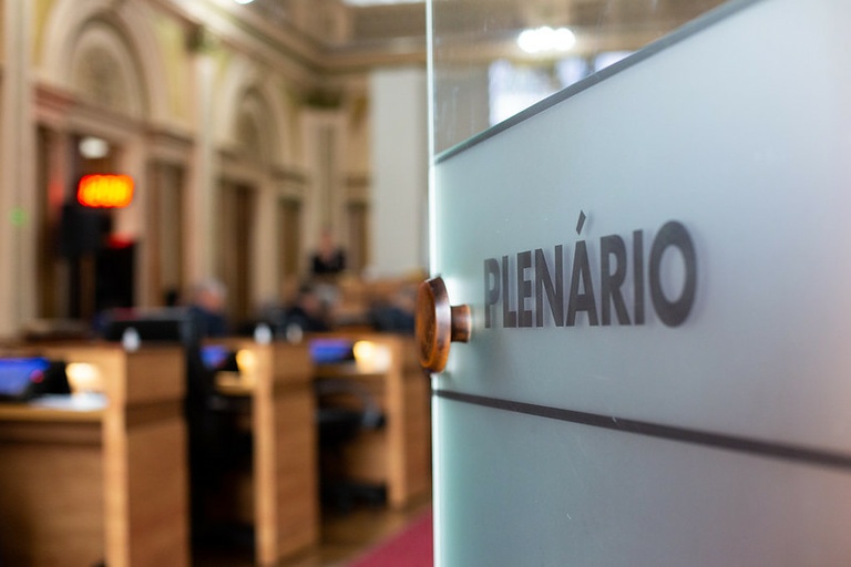 Preservar árvores bonificaria Nota Curitibana, sugere Câmara 