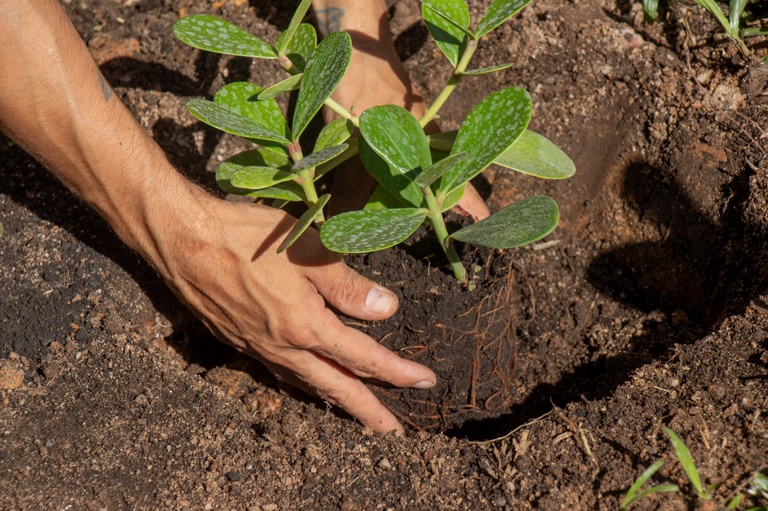 Vereador quer priorizar contratação de microempresas
