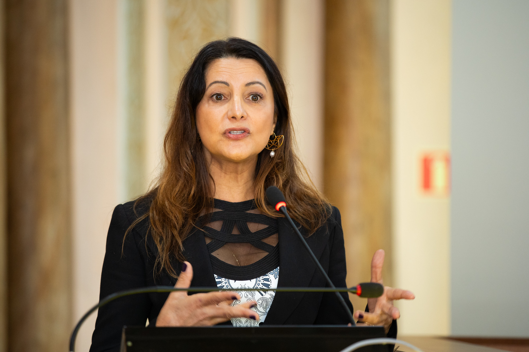 Programa de prevenção à diabetes é apresentado na Tribuna Livre da Câmara