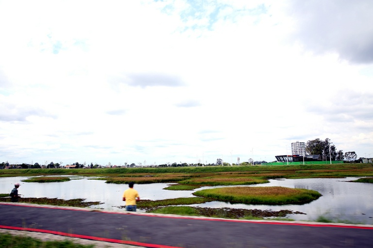 Projeto atualiza princípios da Política Municipal do Meio Ambiente