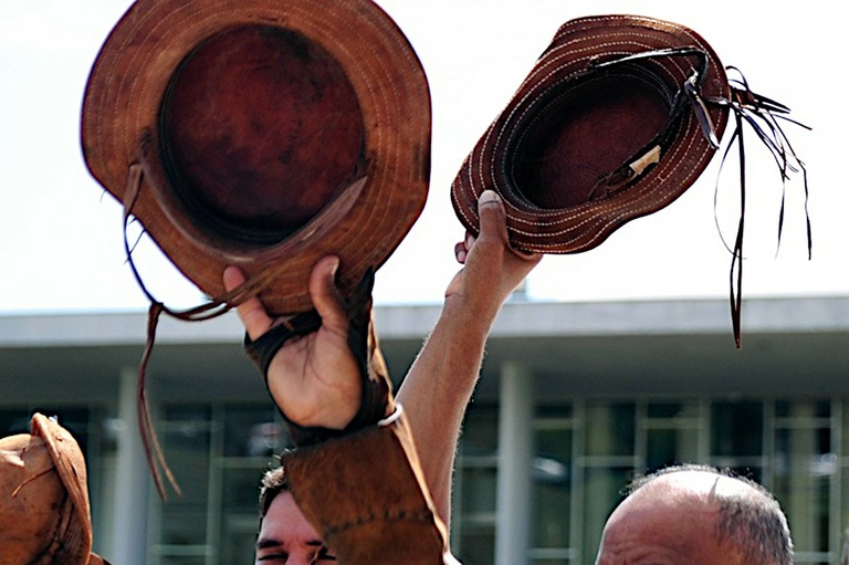 Curitiba pode ganhar data para homenagear cultura nordestina