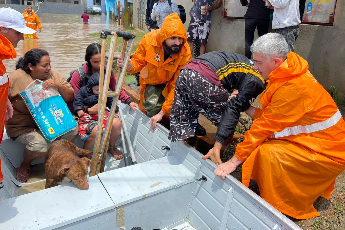 Projeto cria rede para resgatar animais em calamidades públicas
