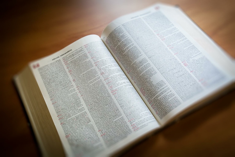 Projeto de lei institui campanha contra “linguagem neutra” 