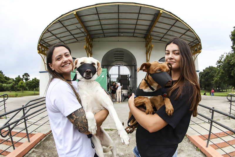 Projeto quer facilitar a recuperação de animais perdidos