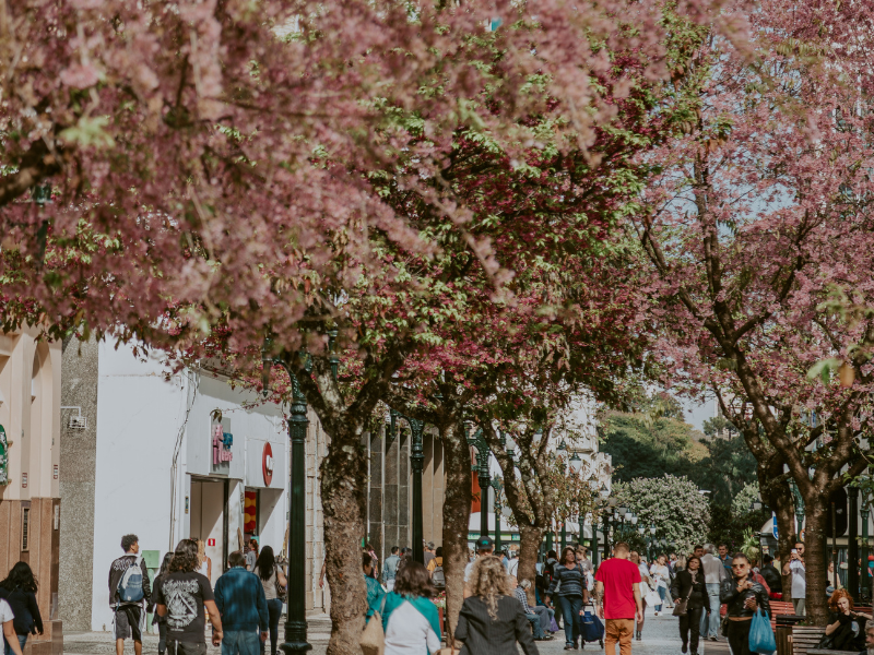 Projeto de lei quer restringir eventos barulhentos no centro de Curitiba