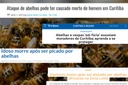  Projeto obriga a remoção de enxames de abelhas em locais públicos