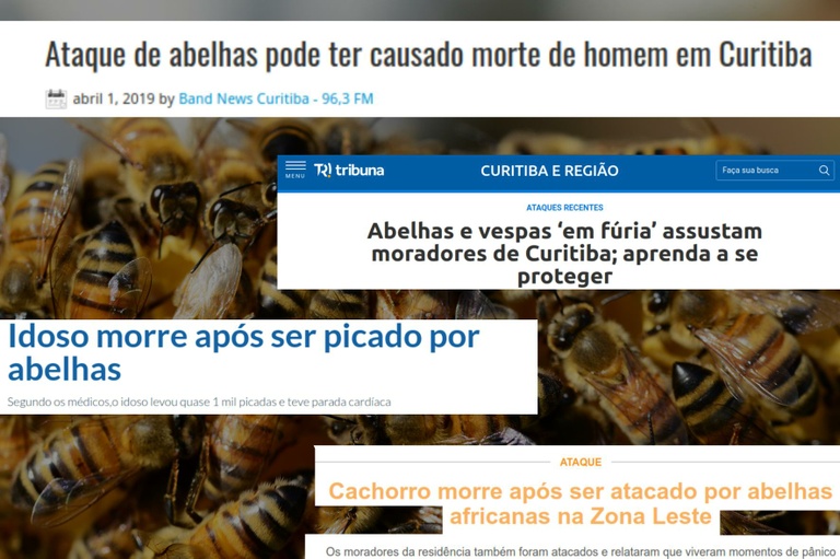  Projeto obriga a remoção de enxames de abelhas em locais públicos