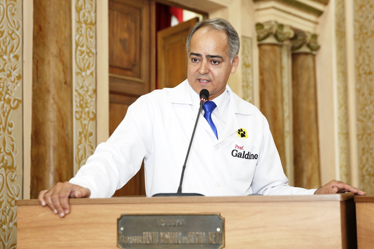 Projeto permite até 20 mil na Pedreira em determinados eventos