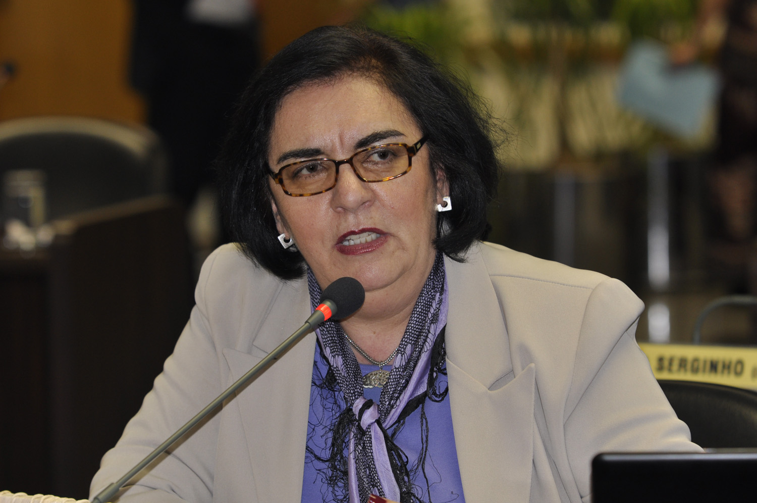 Projeto proíbe incineração de lixo domiciliar 