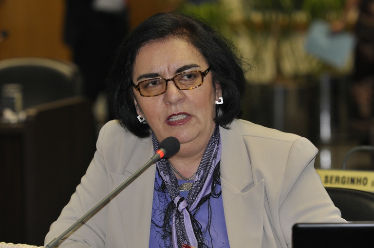 Projeto proíbe incineração de lixo domiciliar 