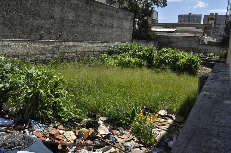 Projeto que obriga teste do coraçãozinho vai a plenário 