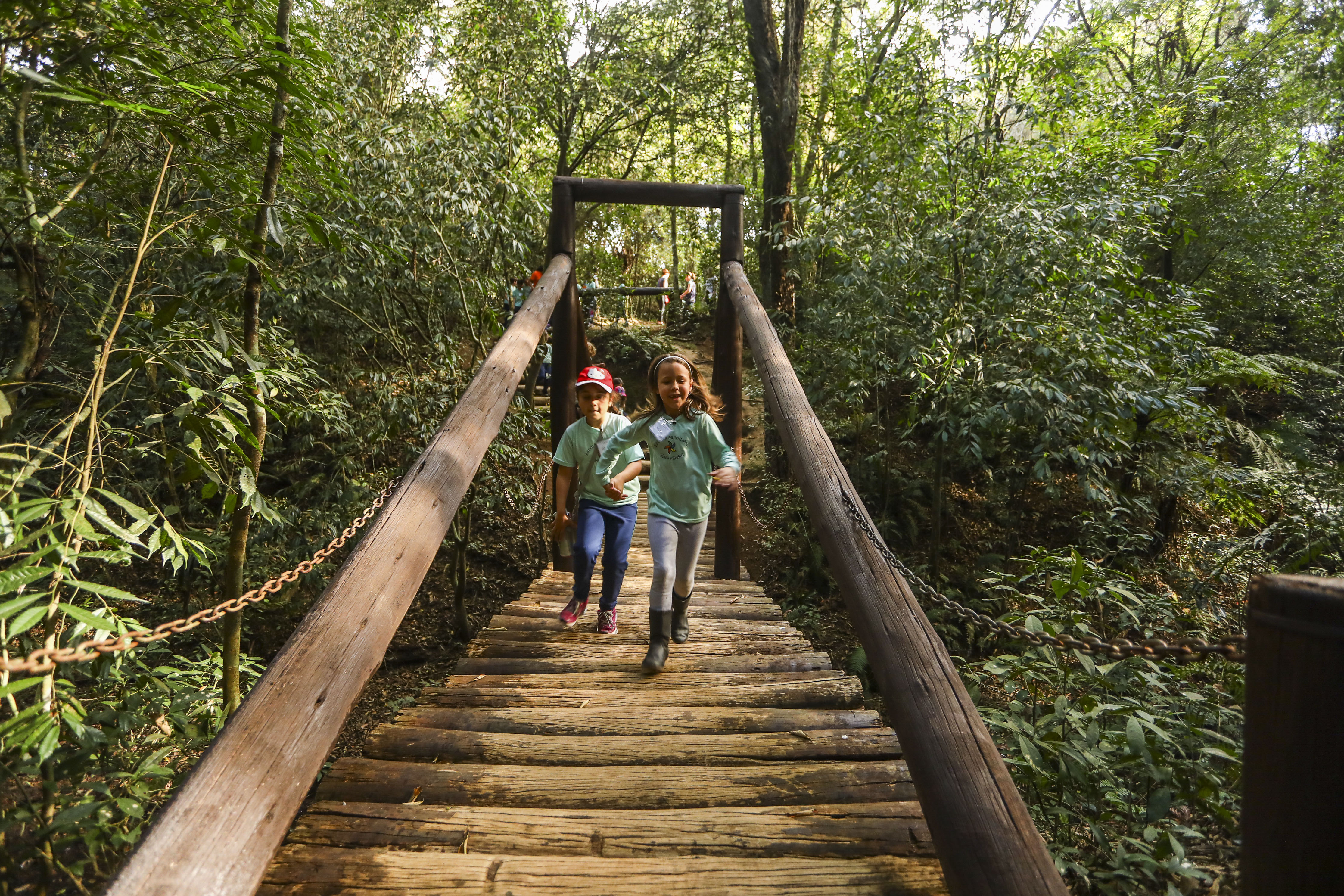 Projeto quer preparar escolas de Curitiba para eventos climáticos extremos