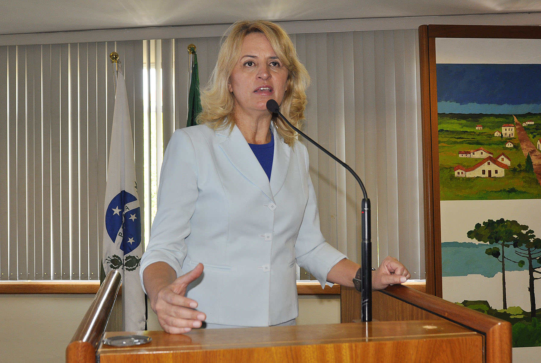 Projeto sobre destinação de bitucas será aprimorado 