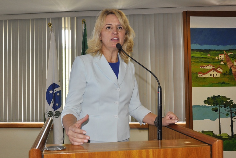 Projeto sobre destinação de bitucas será aprimorado 