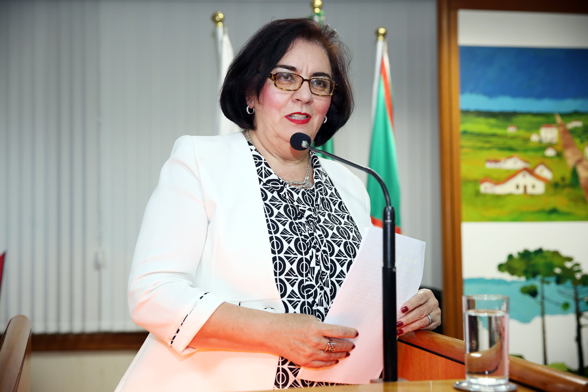 Projeto sugere ampliação de itens comercializados em bancas de revistas