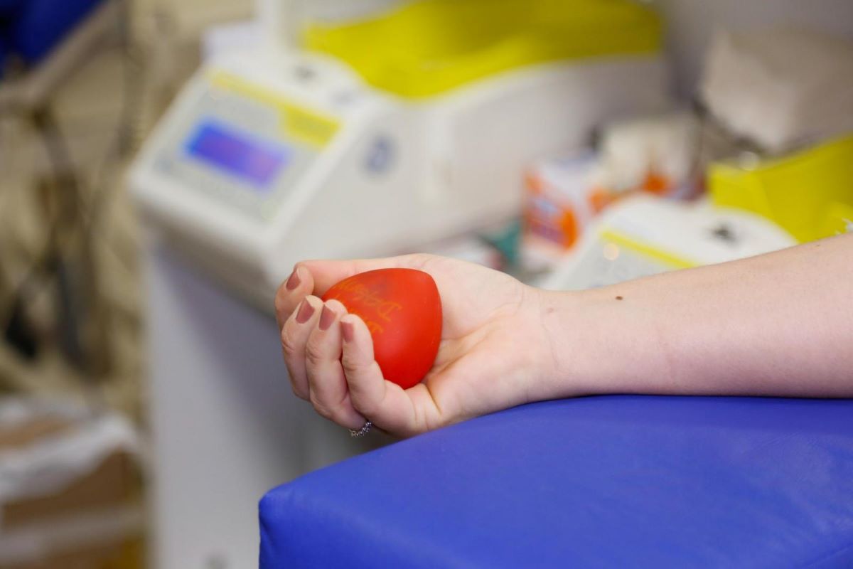 Projeto sugere trocar multa leve por doação de sangue ou medula