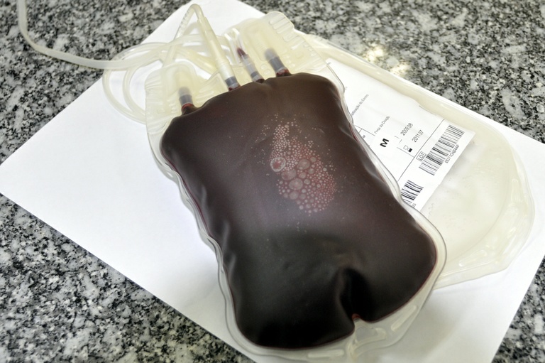 Projeto vai conscientizar crianças sobre doação de sangue