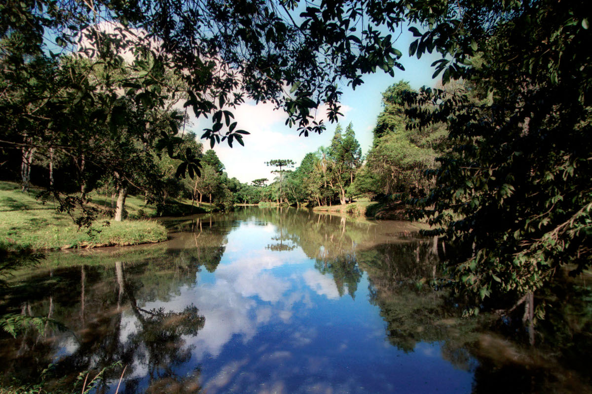 Projeto vincula lei ambiental de Curitiba a compromissos da COP