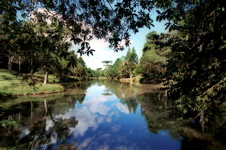 Projeto vincula lei ambiental de Curitiba a compromissos da COP