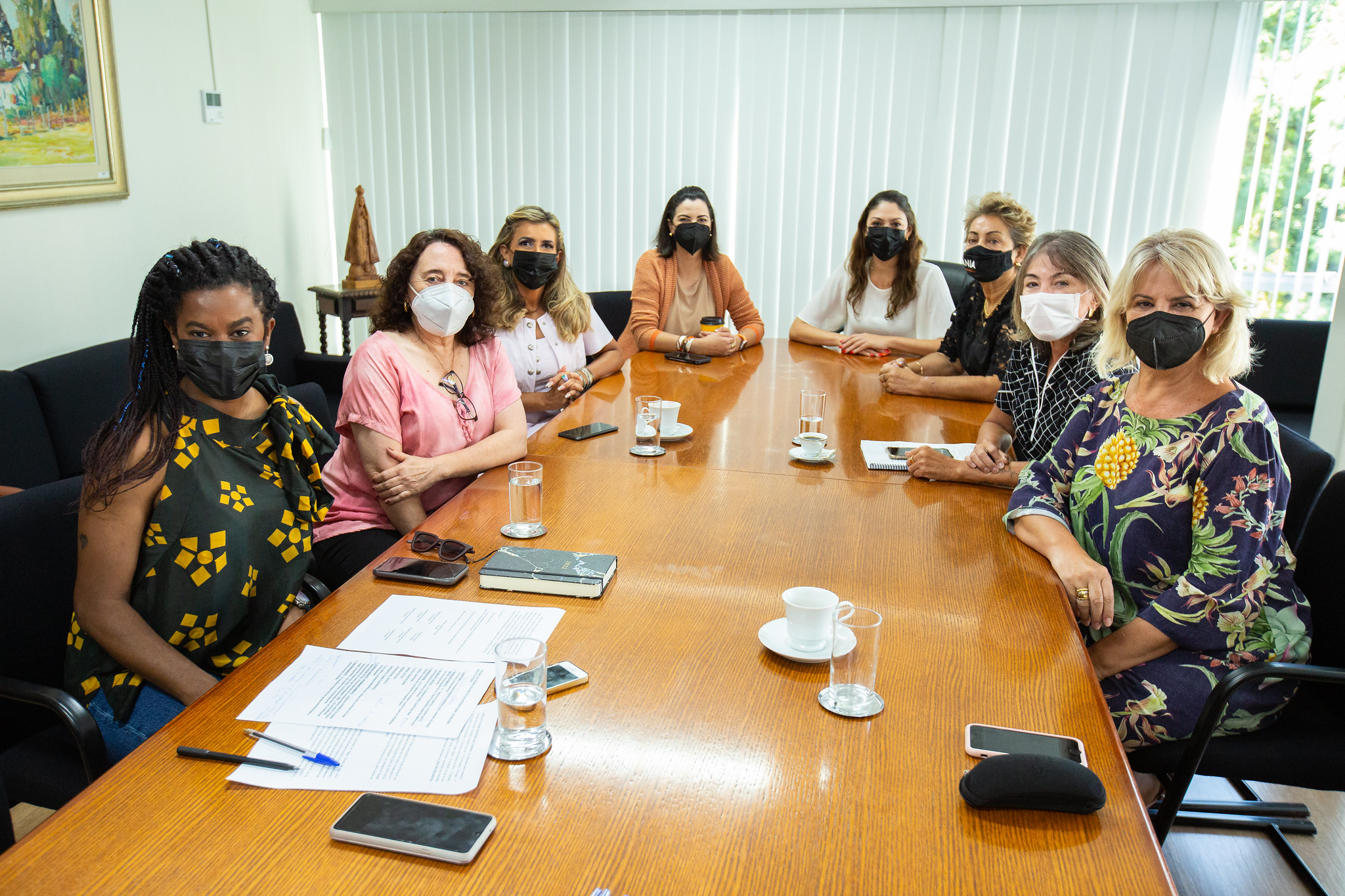 ProMulher e vereadoras definem agenda do Dia Internacional da Mulher