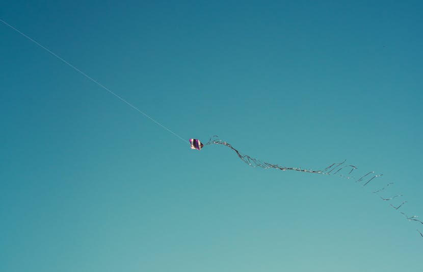 Vereador quer pipódromos públicos em Curitiba