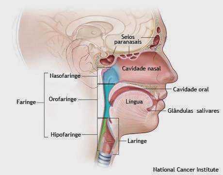 Proposta conscientização sobre câncer de cabeça e pescoço
