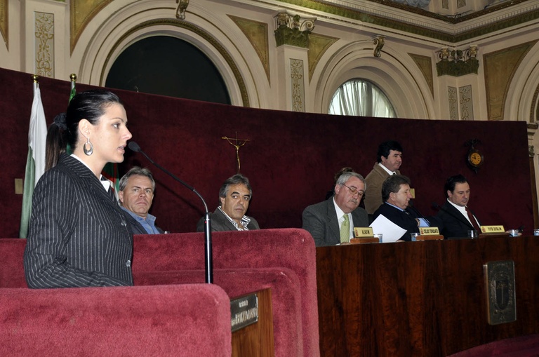 Proposta criação de comitê do Milênio 