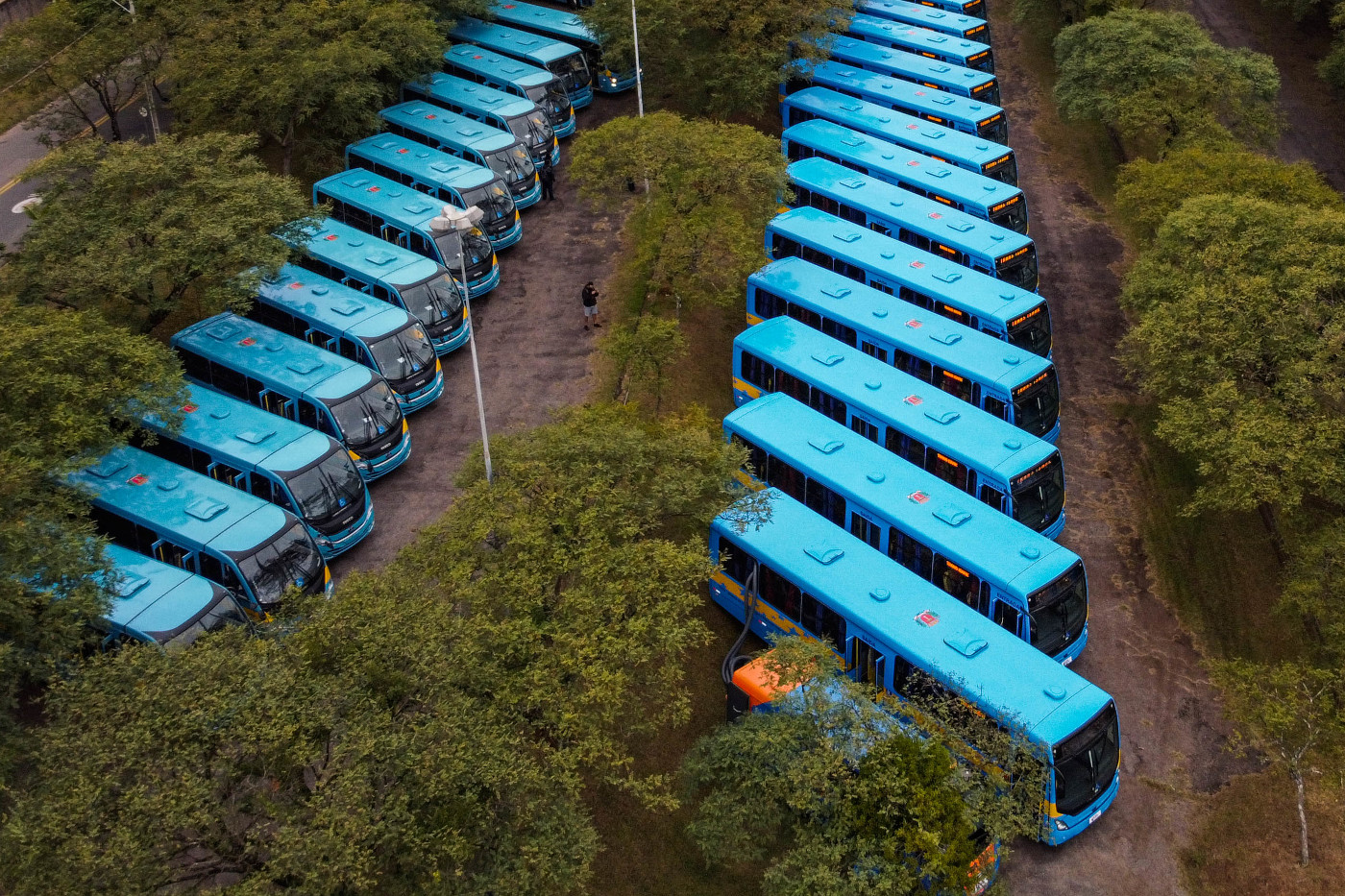 Publicidade em veículos é tema de projeto na Câmara de Curitiba
