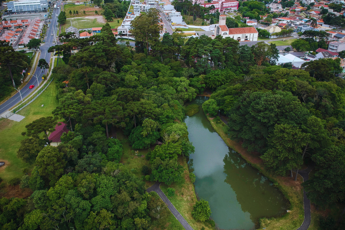 Mapa digital para adoção de bosques entra em vigor neste mês