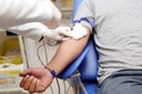 Reapresentado projeto que prioriza doadores de sangue em vacinação
