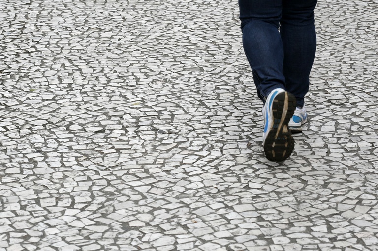 Requerimento pede calçadão na rua Voluntários da Pátria