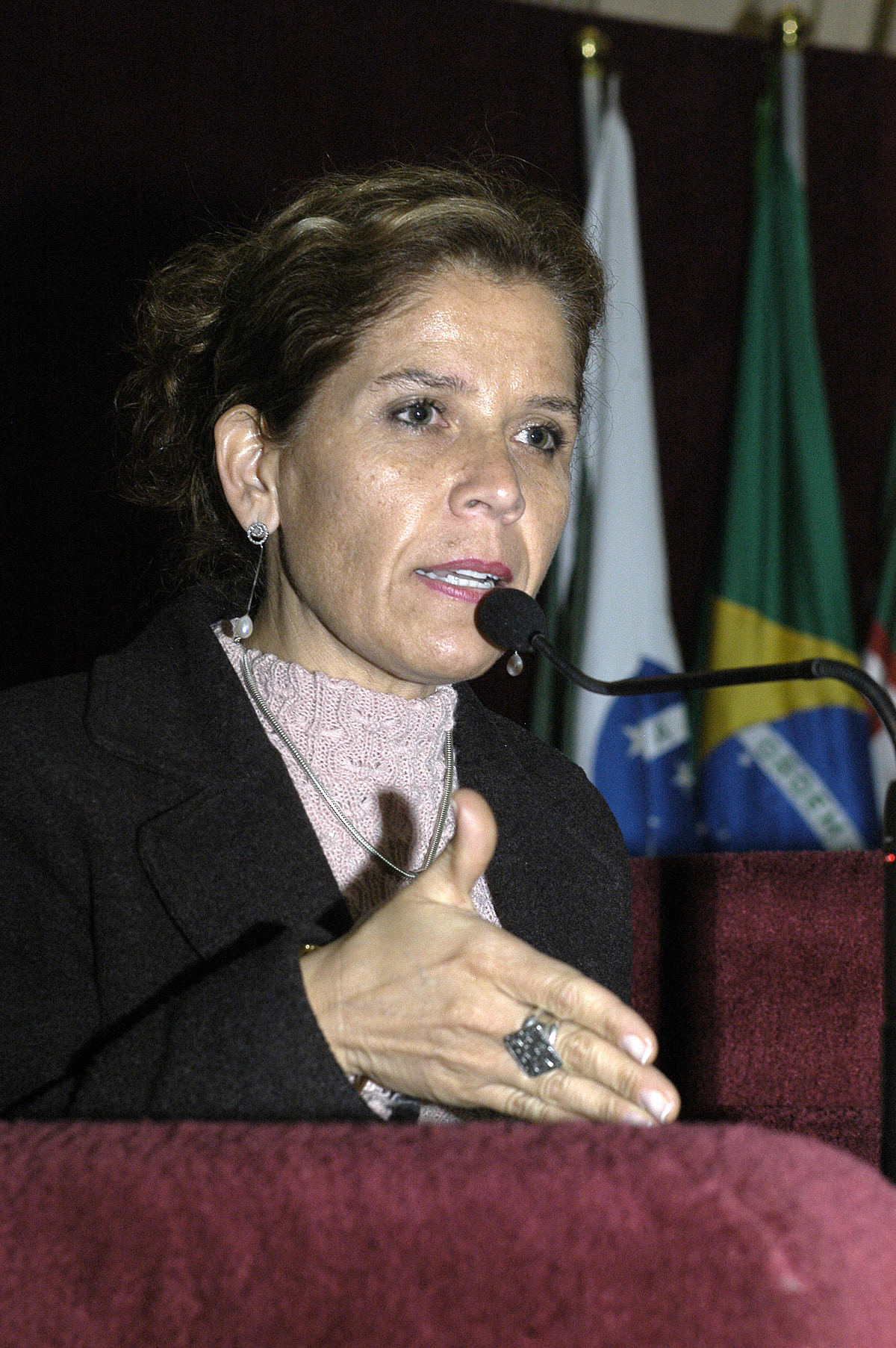 Roseli destaca programa de segurança pública 