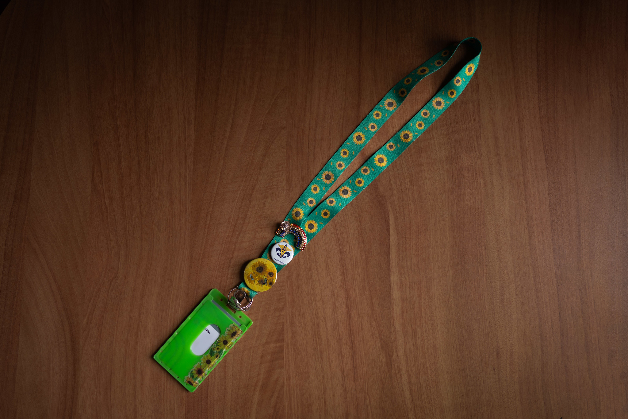 Sancionada, Lei do Cordão de Girassol começa a valer em setembro em Curitiba