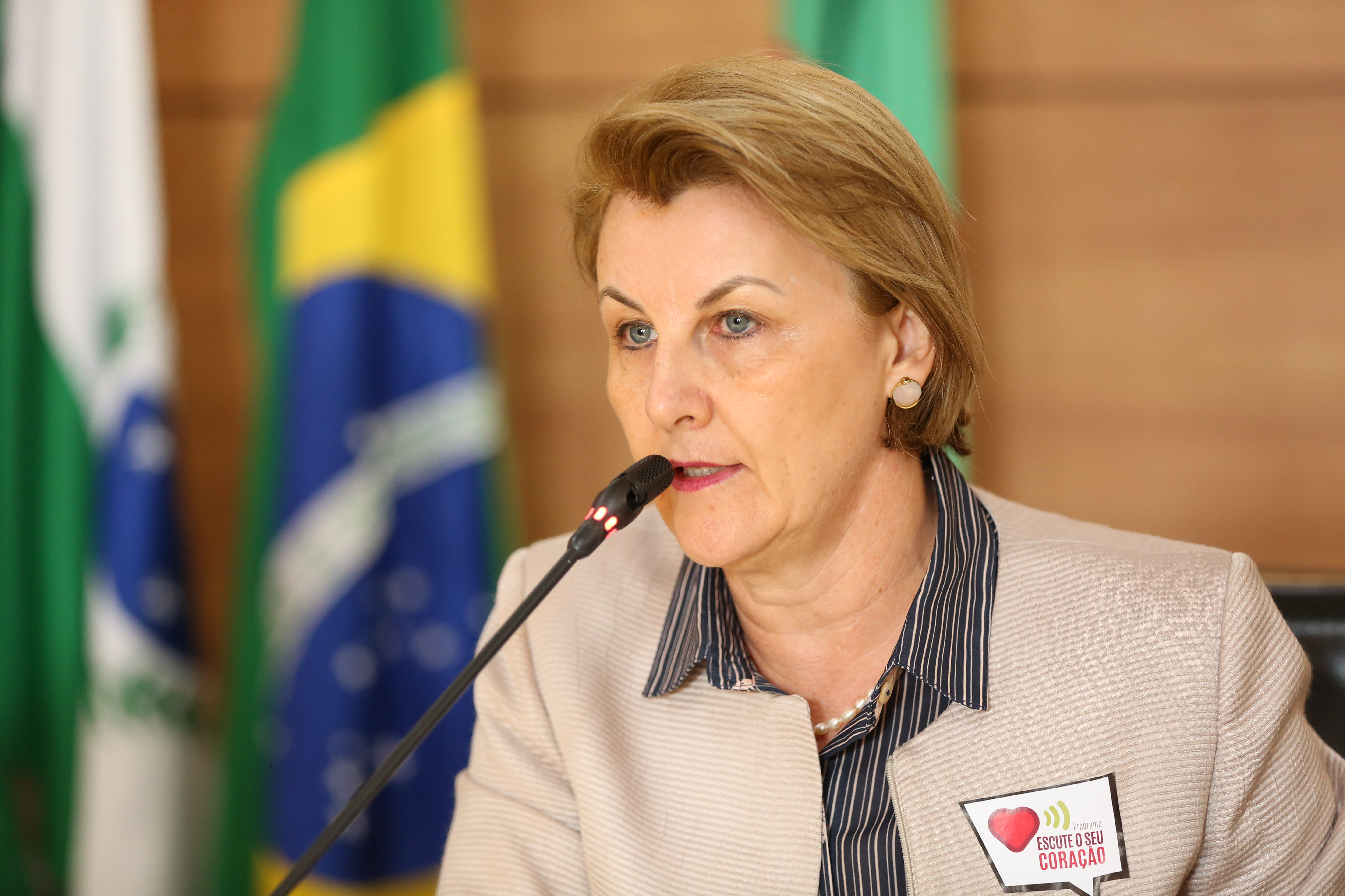 Secretaria de Saúde presta contas em audiência pública