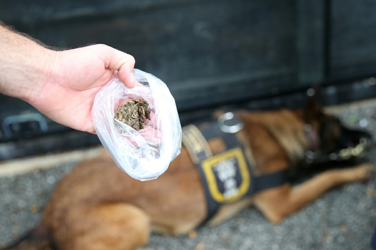 Segurança e prevenção a drogas têm R$ 120 mil de Tico Kuzma