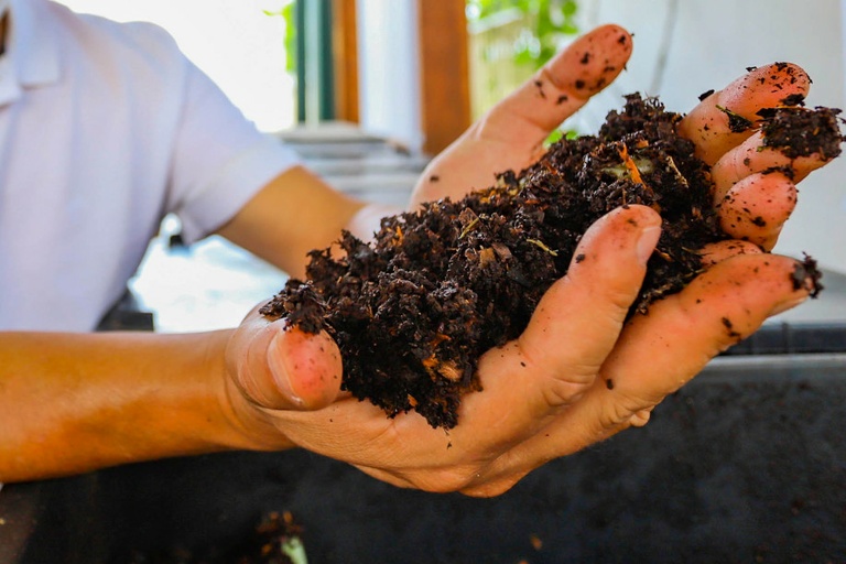 Semana Lixo Zero: Câmara promove oficinas de compostagem em Curitiba