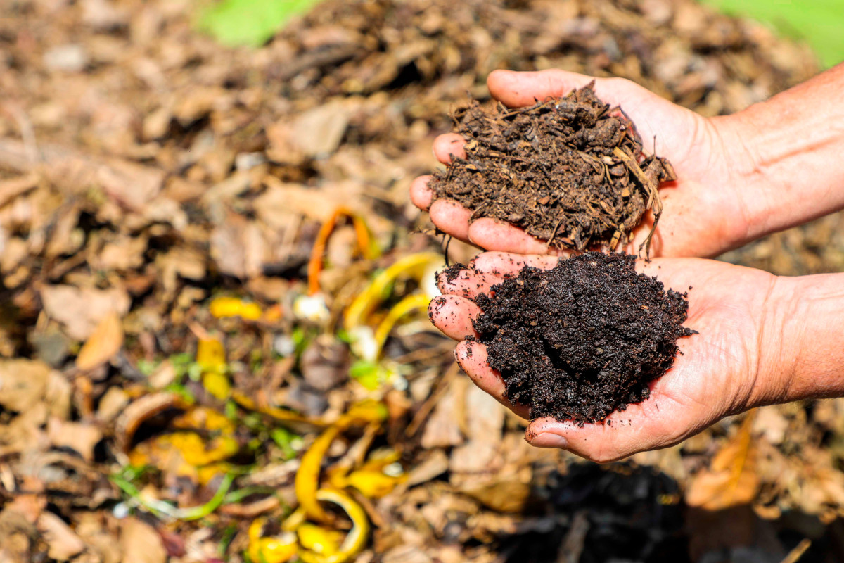 Semana Lixo Zero: projeto incentiva compostagem dentro de Curitiba