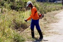 Serviço Público admite que Prefeitura limpe terreno baldio e cobre do dono Serviço Público admite que Prefeitura limpe terreno baldio e cobre do dono