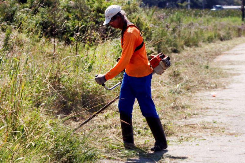 Serviço Público admite que Prefeitura limpe terreno baldio e cobre do dono