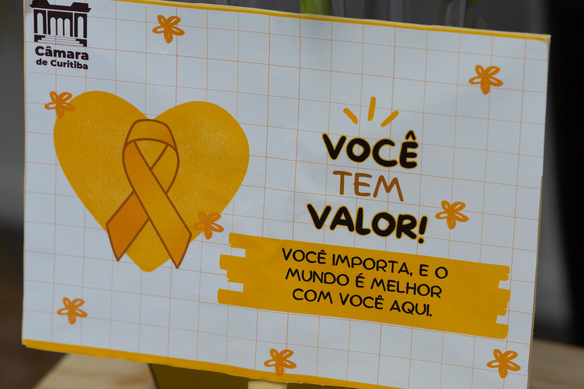 Setembro amarelo: palestra na Câmara alerta aos cuidados com saúde mental