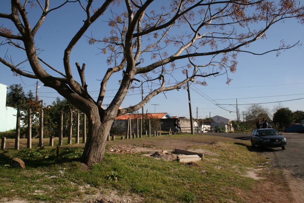 Solicitada instalação de jardinetes e academias 