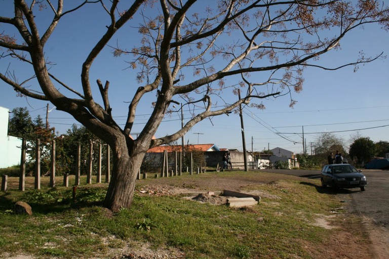 Solicitada instalação de jardinetes e academias 