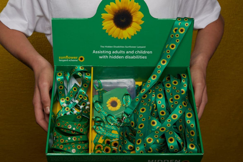 Startups, cordão de girassol e microcervejarias: CMC vota quatro projetos